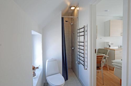 y baño pequeño con aseo y ducha. en Plesners Anneks, en Skagen