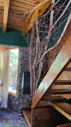 Fotografie z fotogalerie ubytování Santos Lugares Cabañas v destinaci Junín de los Andes