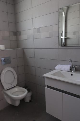 a bathroom with a toilet and a sink at Oriental Nature in Majdal Shams