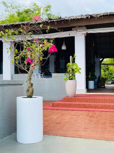 Gallery image of African Queen Lodge in Assinie