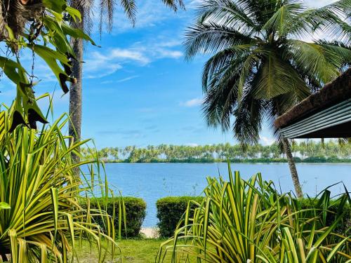 Gallery image of African Queen Lodge in Assinie