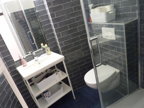 une salle de bain avec toilettes, lavabo et miroir dans l'établissement Sol-y-Days Flamant, Superbe appartement en rez de jardin avec grande terrasse et jardinet, face a la mer, au Grau-du-Roi