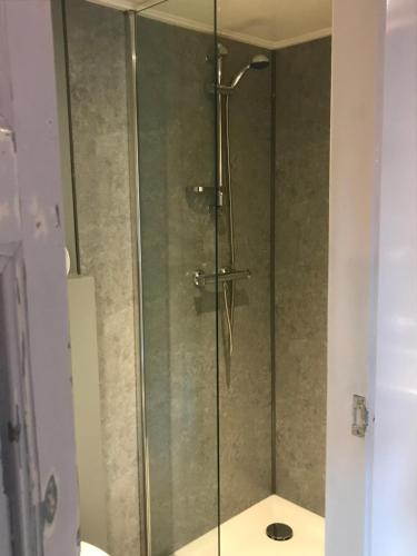 a shower with a glass door in a bathroom at De Túnfûgel (tiny house) in Jonkersland