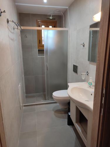 a bathroom with a shower and a toilet and a sink at Cosy apartment in Stoupa in Stoupa