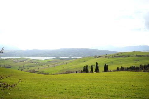 a green field with trees in the distance at Una Finestra sul passato in Andretta