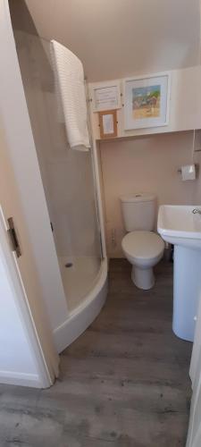 a bathroom with a shower and a toilet and a sink at Farriers in Dartmouth