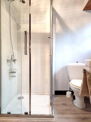 une salle de bain avec douche et toilettes dans l'établissement Maison spacieuse à Florentin-la-Capelle avec jardin 70 m², à Florentin-la-Capelle