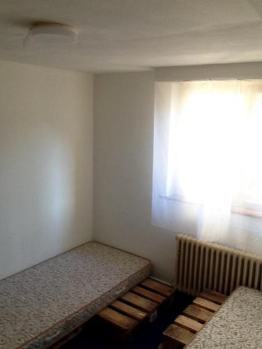 FüllinsdorfにあるBaselHostelのベッド2台と窓が備わる小さな客室です。