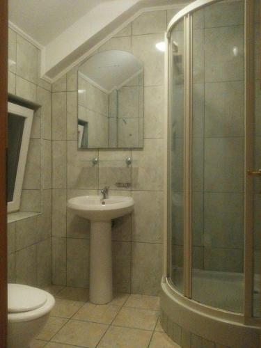 a bathroom with a sink and a shower at Pensiunea Coca in Baile Felix