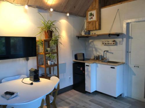 Virtuvė arba virtuvėlė apgyvendinimo įstaigoje Beemster Tiny House
