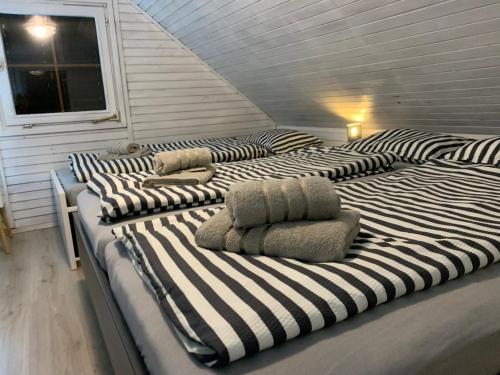 un grupo de camas alineadas en una habitación en Lili, en Brežice