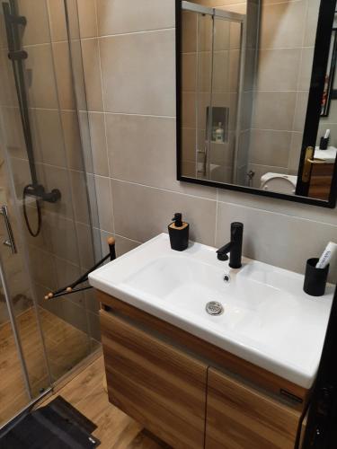 Un baño de Dream Apartment Vršac