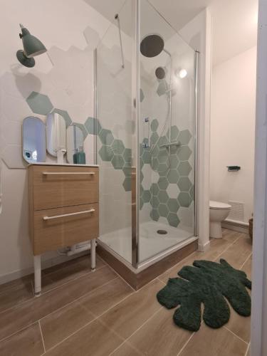 La salle de bains est pourvue d'une douche et d'un tapis. dans l'établissement Vivez La forêt - Port de plaisance - Plage, au Havre
