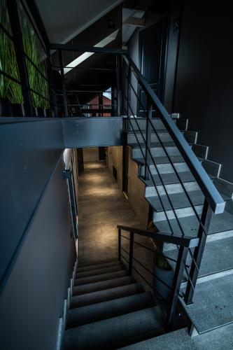 a stairway in a building with a blue railing at Comfort Hostel Klaipeda in Klaipėda