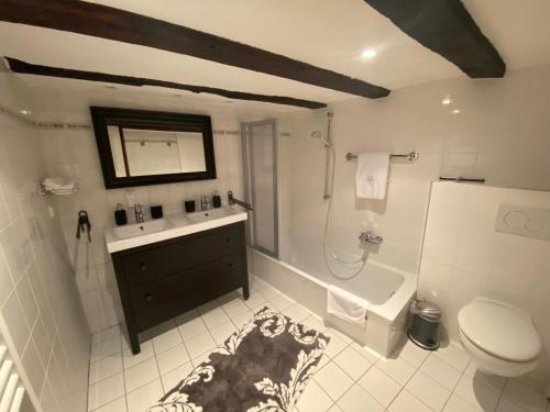ein Bad mit einem Waschbecken, einer Dusche und einem WC in der Unterkunft Mosel Röschen in Bernkastel-Kues