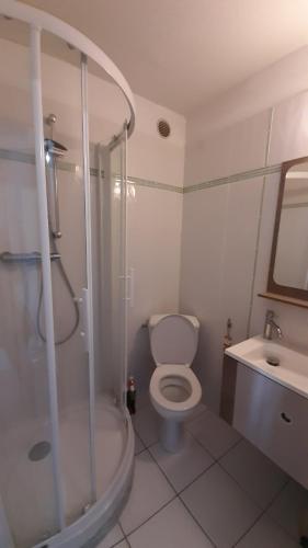 La salle de bains est pourvue d'une douche, de toilettes et d'un lavabo. dans l'établissement Le Petit Bleu de Didonne 28m2 150 m de la plage avec balcon, à Saint-Georges-de-Didonne