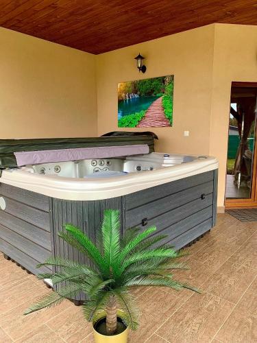 a large bath tub in a room with a palm tree at LEVENDULÁS HÁZ - Balatonfőkajár in Balatonfőkajár