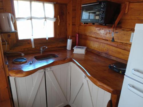 eine Küchentheke mit einer Spüle und einer Mikrowelle in der Unterkunft Cabaña Via Verde in Tandil