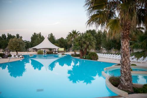 une piscine d'eau bleue et un palmier dans l'établissement La Carabasse Vias Plage Mobile Home 8 personnes, à Vias