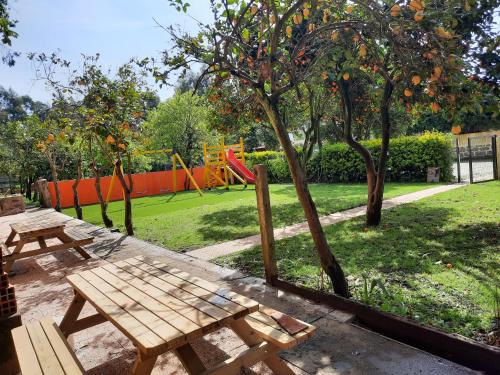 Taman di luar Metro Vilar Suites & Villas
