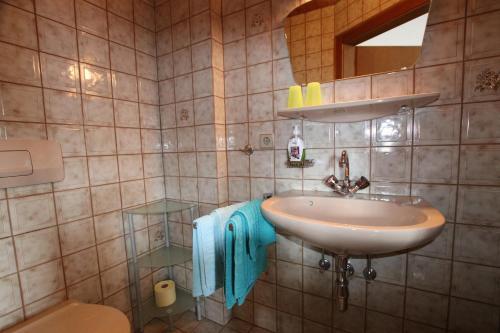 een badkamer met een wastafel, een spiegel en een toilet bij Wimmers Hundsegghof WILD002 in Niederau