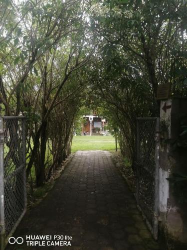 Hostal el Vaqueroにある庭