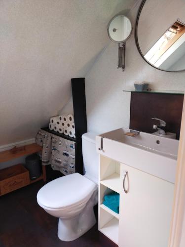 La salle de bains est pourvue de toilettes, d'un lavabo et d'un miroir. dans l'établissement Chambrecosy salle de bain privée, à Quimper