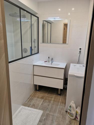 une salle de bain blanche avec un lavabo et une douche dans l'établissement LILLE hypercentre MARIA Appartement PALACE*****, à Lille