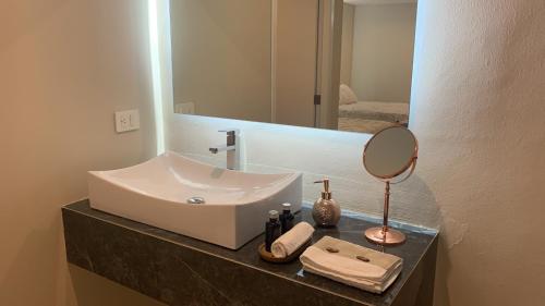 阿瓜斯卡連特斯的住宿－LA GRANDE MAISON，一间带水槽和镜子的浴室