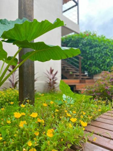 a garden with yellow flowers and a plant at Pousada Maresia in Fernando de Noronha