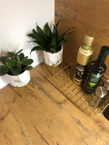 a shelf with two bottles of alcohol and a plant at Maximo Apartments - free parking in Maribor