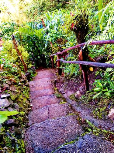 a stone path in a garden with a bench at Bogah Lodge in Banaue