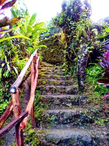 a set of stone stairs with a wooden fence at Bogah Lodge in Banaue