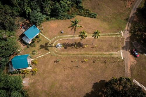 an aerial view of a park with palm trees at Drake Bay River View in Drake