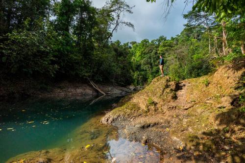a man standing on a hill next to a river at Drake Bay River View in Drake