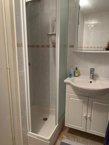 ein Bad mit einer Dusche und einem Waschbecken in der Unterkunft Chez les Michel in Viry
