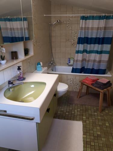 a bathroom with a sink and a toilet and a shower at Halte au pied du Creux du Van in Travers