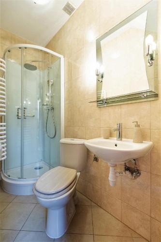 a bathroom with a toilet and a sink and a shower at Dom Gościnny Borsuczyna in Wetlina