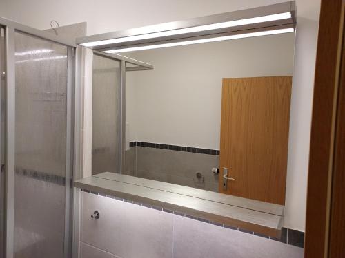 エアフルトにあるApartment Joのバスルーム(大きな鏡、シャワー付)