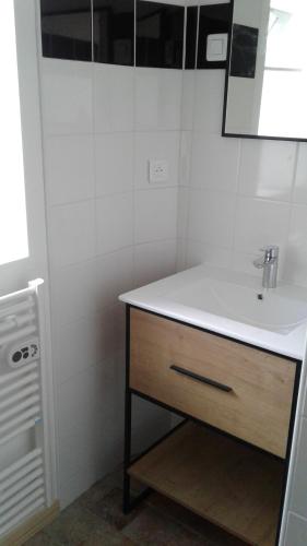 un baño con lavabo y espejo en Mini Gite Les Marais Beaugency, en Beaugency