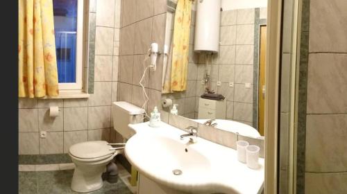 a bathroom with a sink and a toilet and a mirror at Ferienwohnung Karin Humer in Bad Ischl