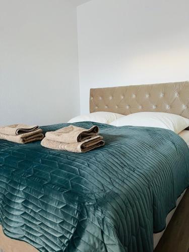 Ένα ή περισσότερα κρεβάτια σε δωμάτιο στο Hotel Villa Ems
