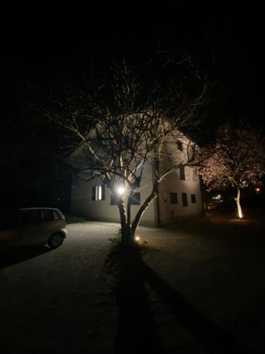 un árbol frente a una casa por la noche en Casa Bellodi, en Novi di Modena