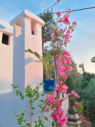 Riad Elli Marrakech tesisinin dışında bir bahçe
