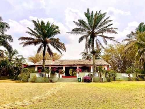 Gallery image of African Queen Lodge in Assinie
