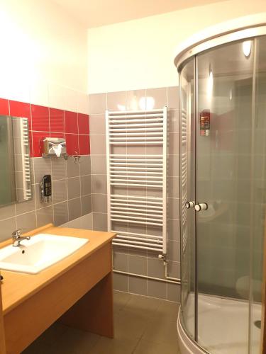 a bathroom with a sink and a shower at Hotel Park in Ostružná