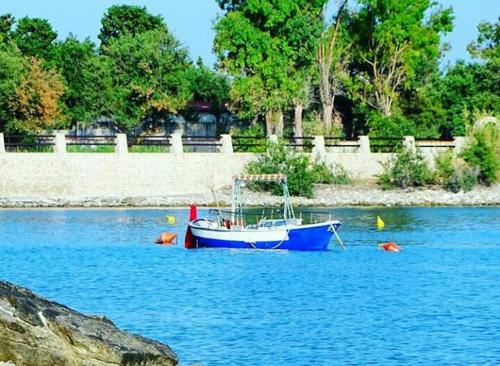 um barco azul sentado no meio da água em Finestra sul mare em Palizzi
