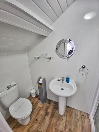 a white bathroom with a toilet and a sink at Ashby House in Tenby