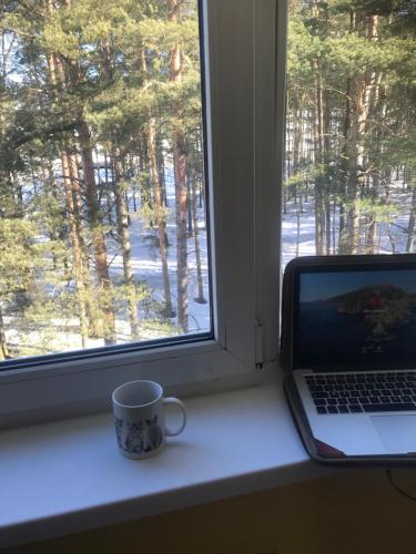 a laptop sitting on a window sill next to a coffee mug at Luxurious En-suit room with Sauna in Pyussi