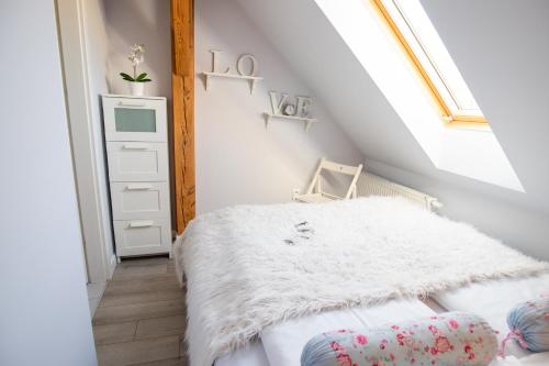 Dormitorio pequeño en el ático con cama y tragaluz en Apartamenty Centrum - Moonlight, en Opole